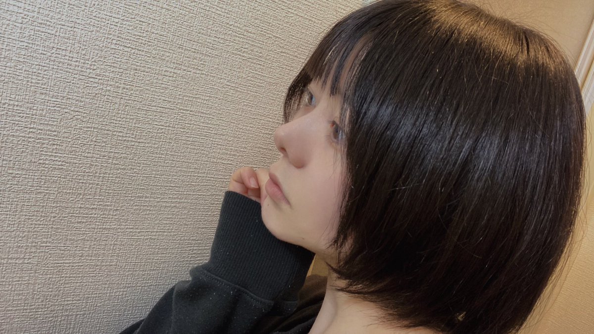 毛伸びてきた🐶 