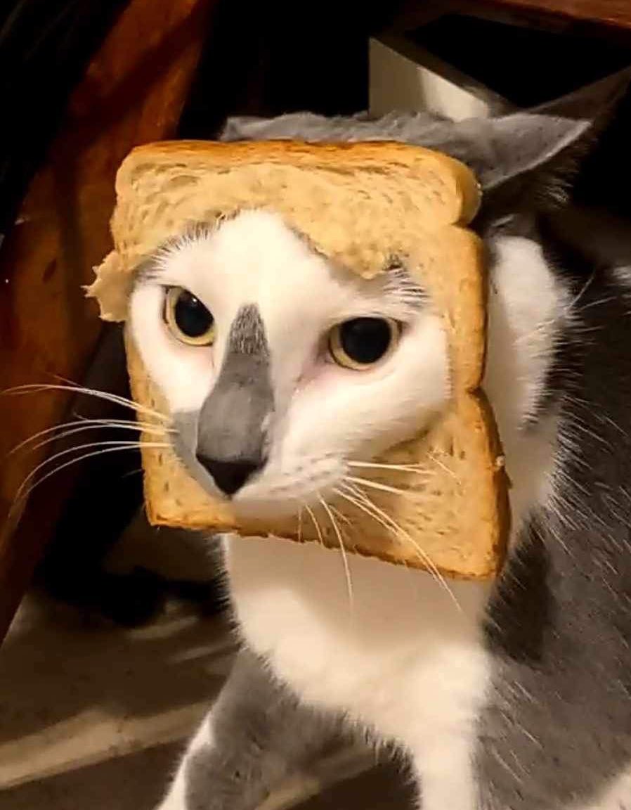 CrownTheJeremy's tweet image. Mfw I blink and I lose an hour