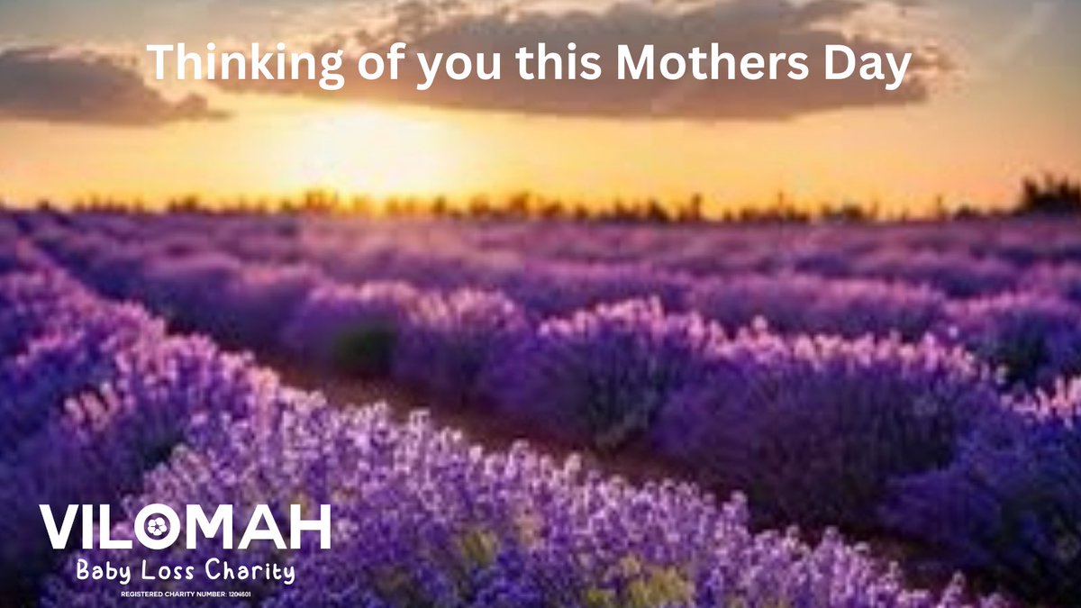 We understand that Mother’s Day may bring mixed emotions for many. Please remember, you're not alone. 💜 

#MothersDay #StillAMum #BabyLoss #PregnancyLoss #stillborn #miscarriage #babylossawareness #bereavedfather #grief #stillbirth #lifeafterloss