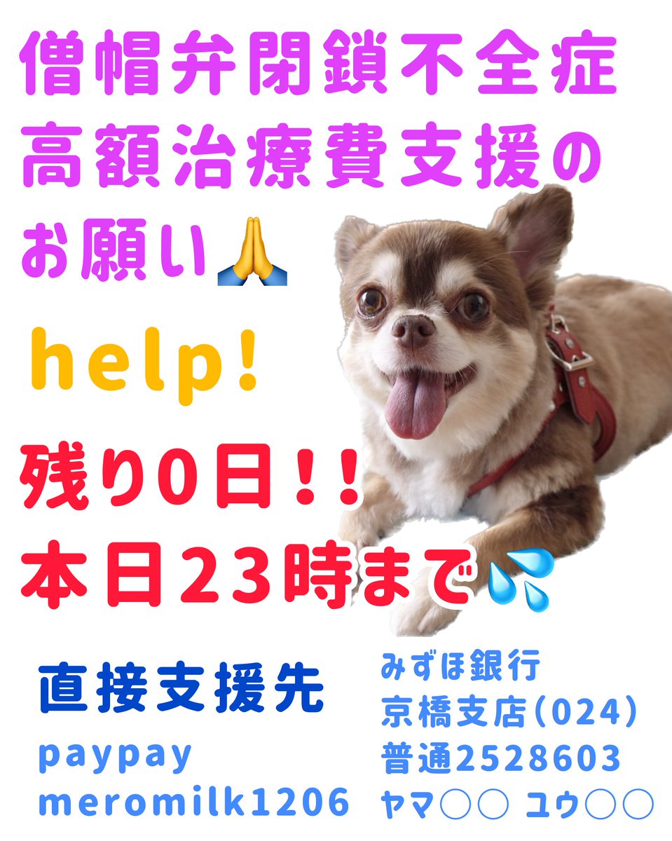 助けてください‼️‼️‼️
お願いします‼️‼️‼️
僧帽弁閉鎖不全症治療費のクラウドファンディング本日23時まで‼️💦💦

【残り0日‼️】
【目標まで37万3千円】

詳細はプロフィールURLからご覧ください🙇
家族が重い病で倒れ、皆様に頼らせていただいています🙇
readyfor.jp/projects/135900
