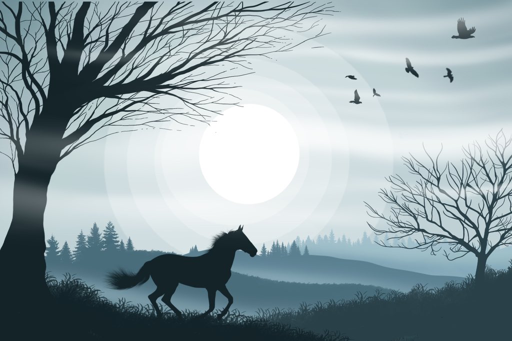 MarzyMotamedi tweet media