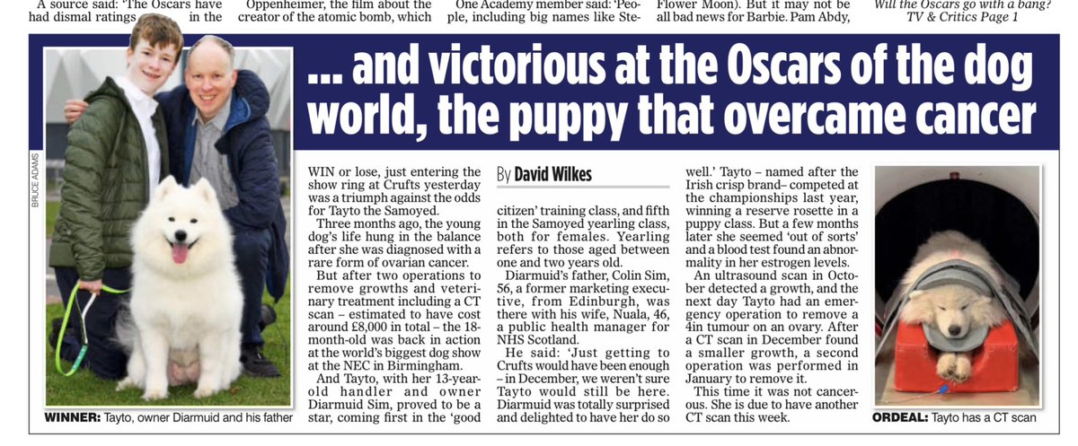 🐶🎤 Pop star Sting and his wife Trudie have a dog at @Crufts. And a brave young dog whose life hung in the balance defied the odds to finish first in its class. Two exclusives in the Sunday @TheSun/@DailyMailUK - as the battle for Best in Show reaches its finale in Birmingham