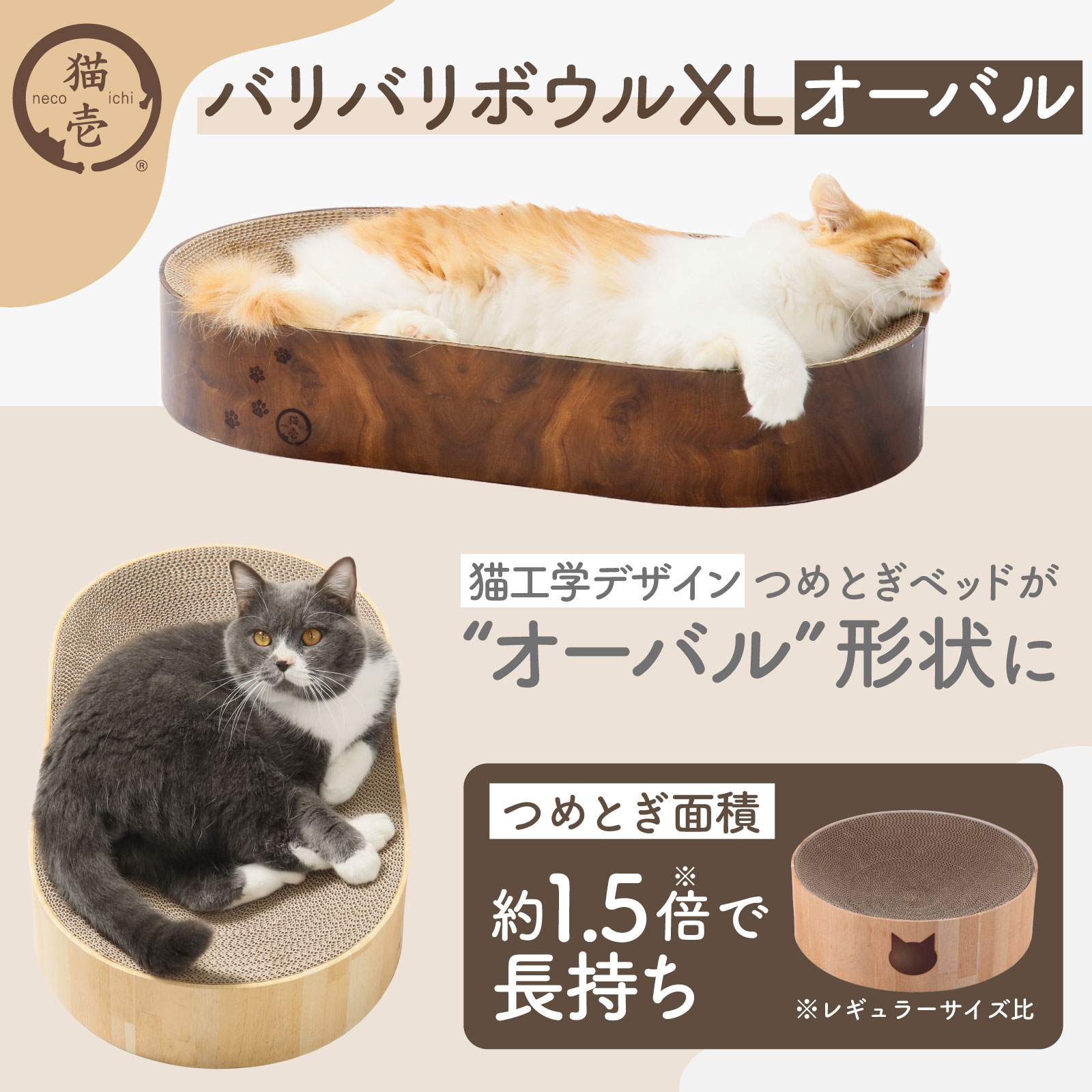 猫壱（necoichi）公式 on X: 