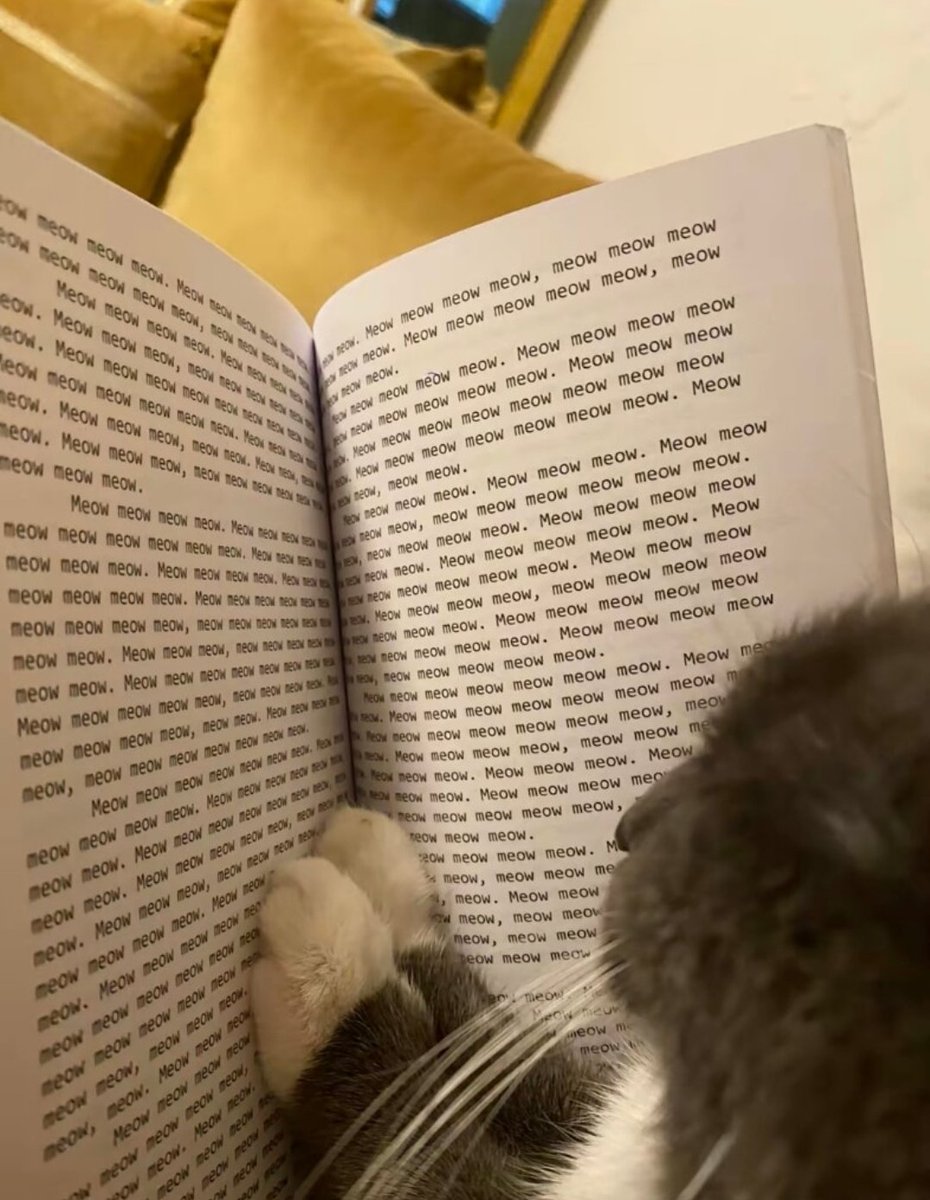 smol silly cat tweet media