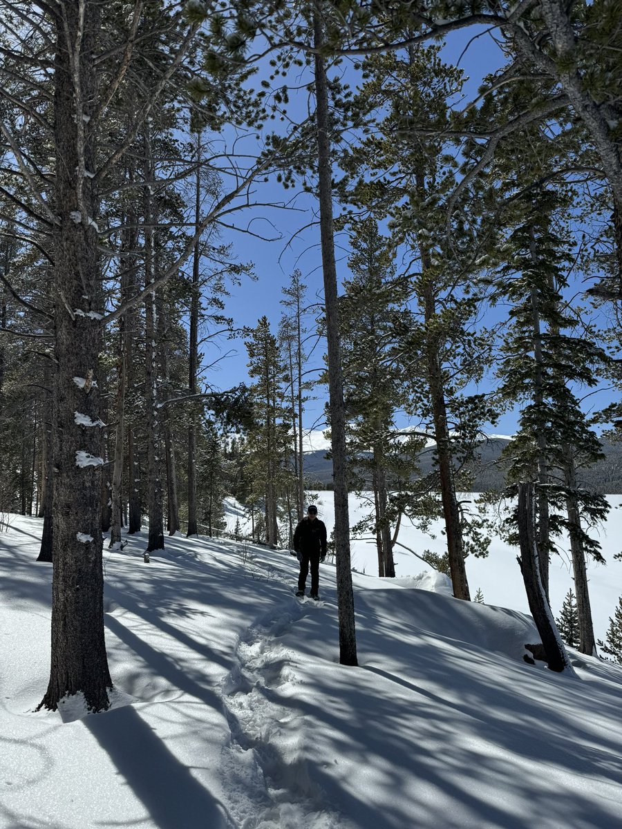 donowens's tweet photo. Perfect day #Colorado 3.9.24 https://t.co/RI4mVdZpvj