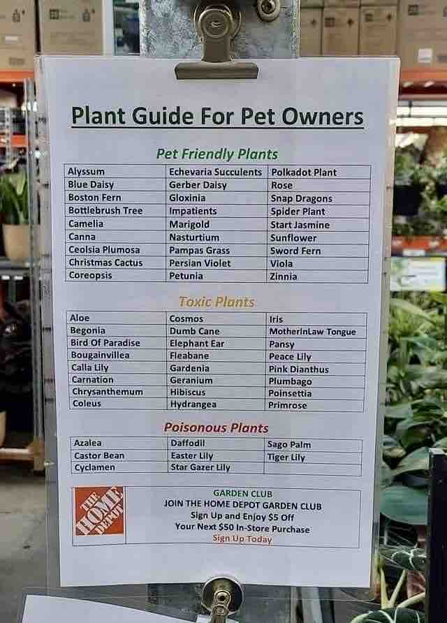 Helpful guide displayed at the Home Depot.