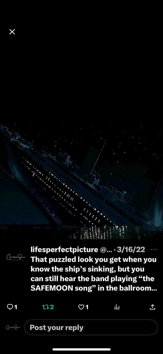 lifesperfectpix's tweet photo. I tried to warn the blind followers! 🤣 @safemoon #SAFEMOONARMY #Safemoon https://t.co/ZNnzjesnaD