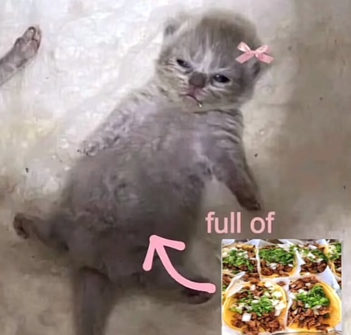 gawblinz's tweet image. 