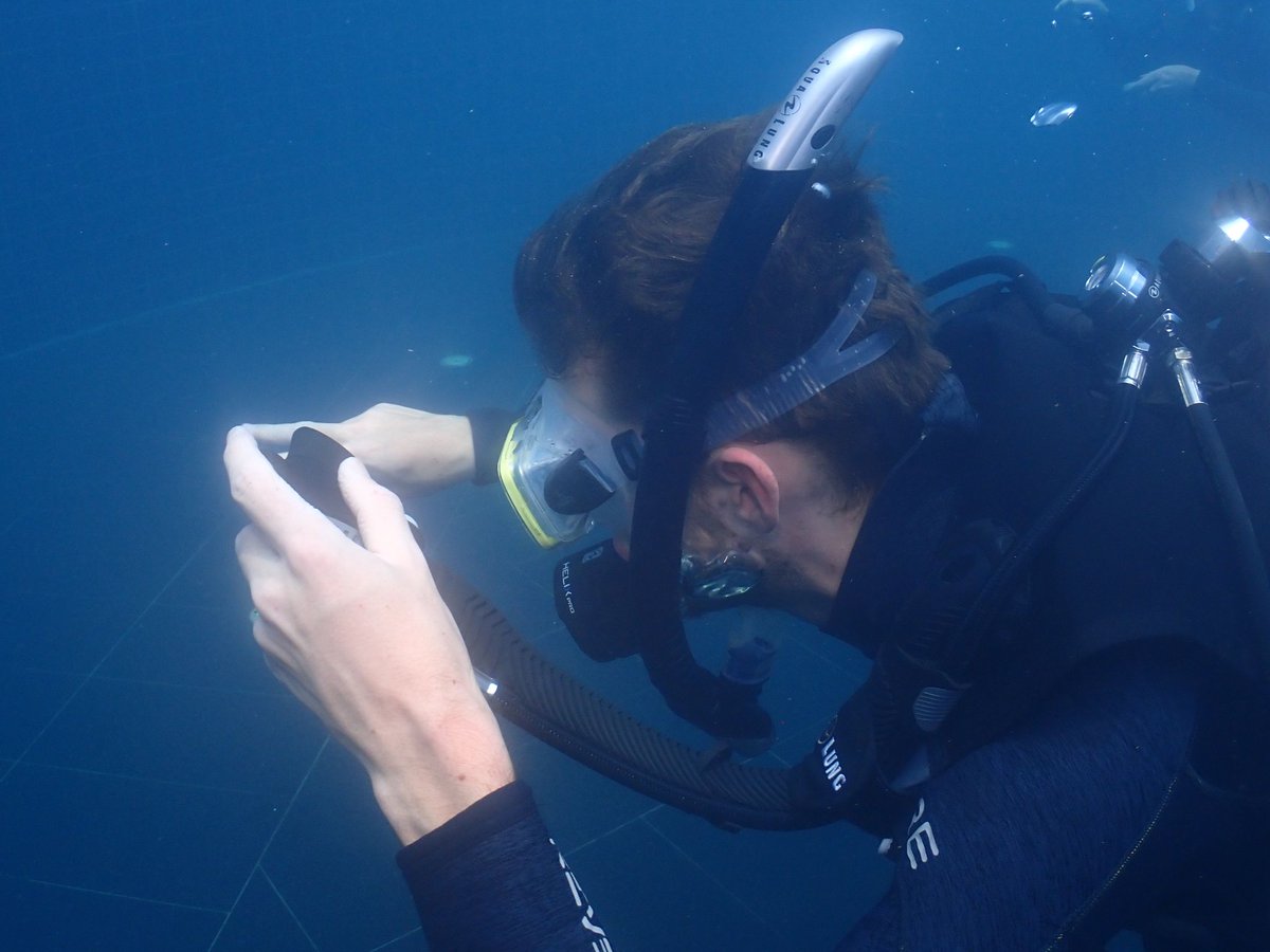 GoProIDCKohTao's tweet photo. Highlights of our first Confined Water presentations from our March PADI IDC candidates. Candidates have done great on day 2, and our training workshops will ensure candidates receive all they need. #BlackTurtleDive https://t.co/JmyXK6Y5MU #diving #IDC #kohtao #scuba https://t.co/rWfENcMzYb