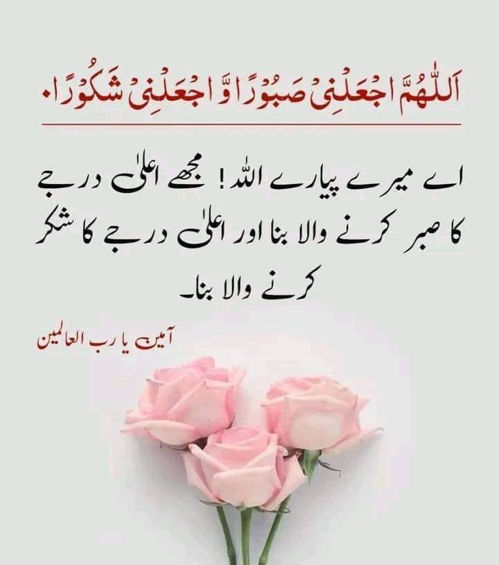 Assalam o alaikum
Good morning. 

#FreePalestine 
#Ramadan 
#X_promo 
#MissWorld2024 
#SaudiArabianGP