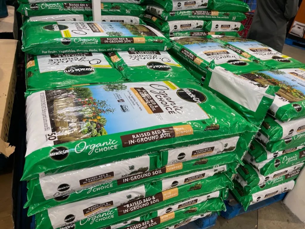 Nik Kalyani - Freedom for Iran tweet media