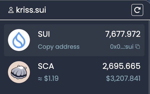 kriss.sui 🇹🇼 tweet media