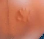 Lmao the baby didn't want to be left out of the family photo