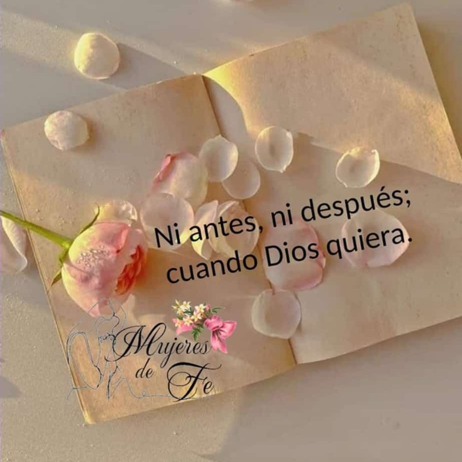 GuerreroLoyda's tweet photo. #NuevaFotoDePerfil https://t.co/ADvekWl2PR