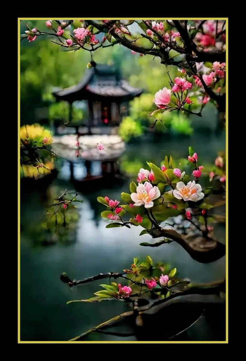 continuegoing's tweet image. 我们活着不是为了最终死去
 在我们死之前，我们活着是为了给世界带来许多好处。