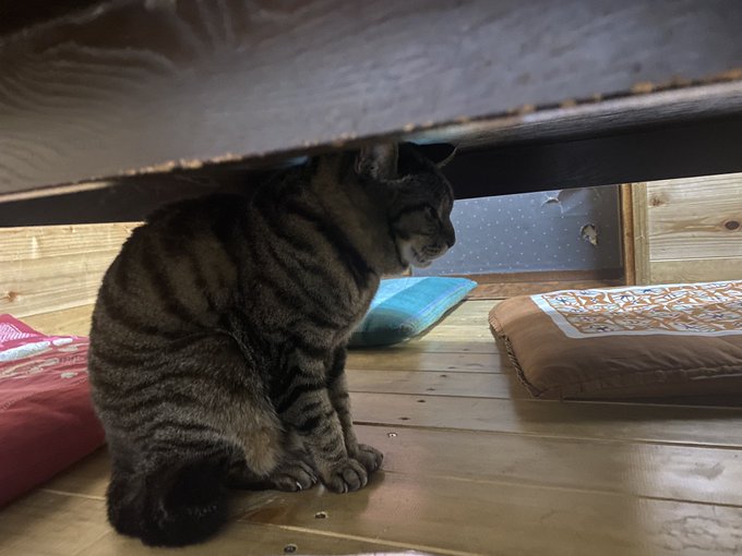 昨日は友達とたくさん飲んでもうた。。。🍺 https://t.co/3glfEWxwNa