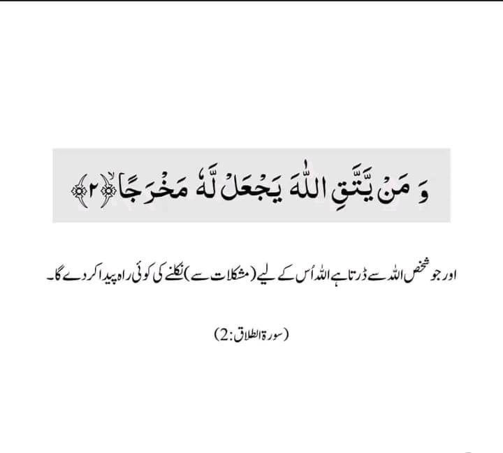 Alza_37's tweet image. "Embrace the beauty of each moment, for in gratitude and submission, we find true peace. 🌙 #IslamicReflections"
#D247