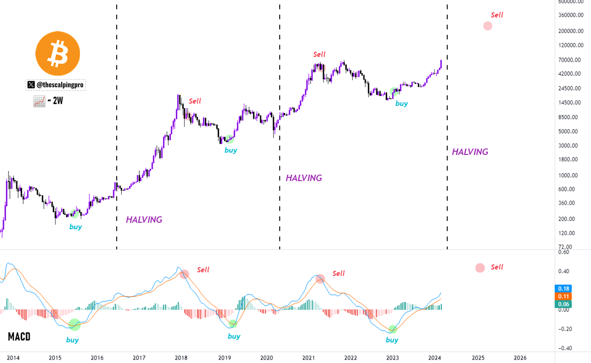 #Bitcoin Simple Strategy 🤝

The 2-week Macd has been perfectly predicting almost every cycle top &amp; bottom

Buy when the 2-week MACD crosses bullish below the zero line, Hold &amp; do nothing until the halving &amp; wait for price to enter parabola. 

Start taking profits on the first