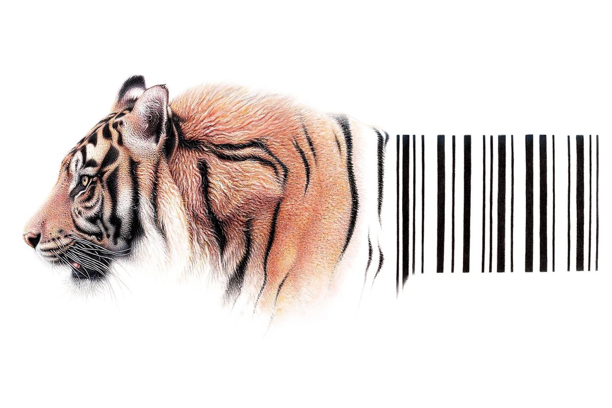 Tigers are not for sale !! Stop illegal trade of wildlife and their parts. PC: Creative by Martin Aveling @TRAFFIC_WLTrade