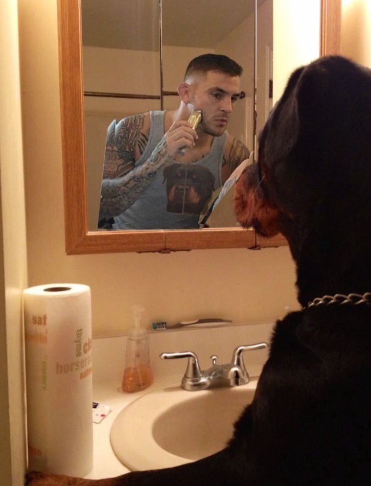 MMAfilthycasual's tweet photo. Dustin Poirier waking up tomorrow morning #UFC299 https://t.co/jXtcnTOK3a