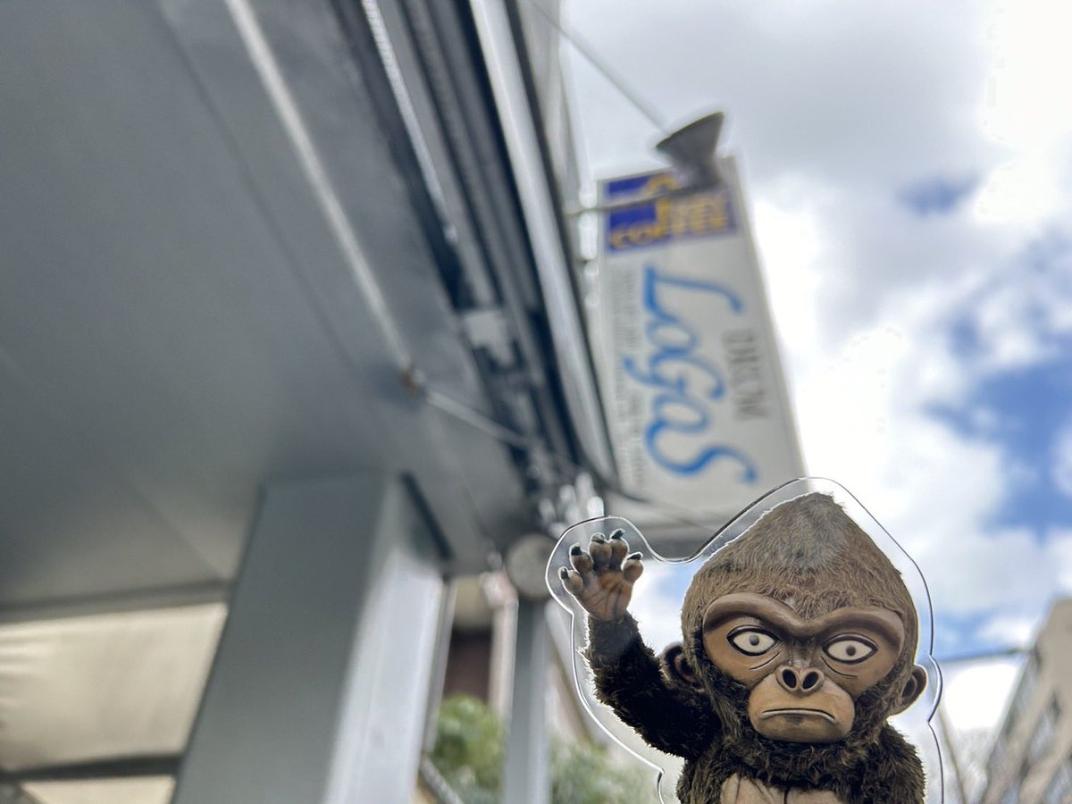 本日はDRUM LOGOS公演🍜🍜 ザ・クロマニヨンズ ツアー HEY! WONDER