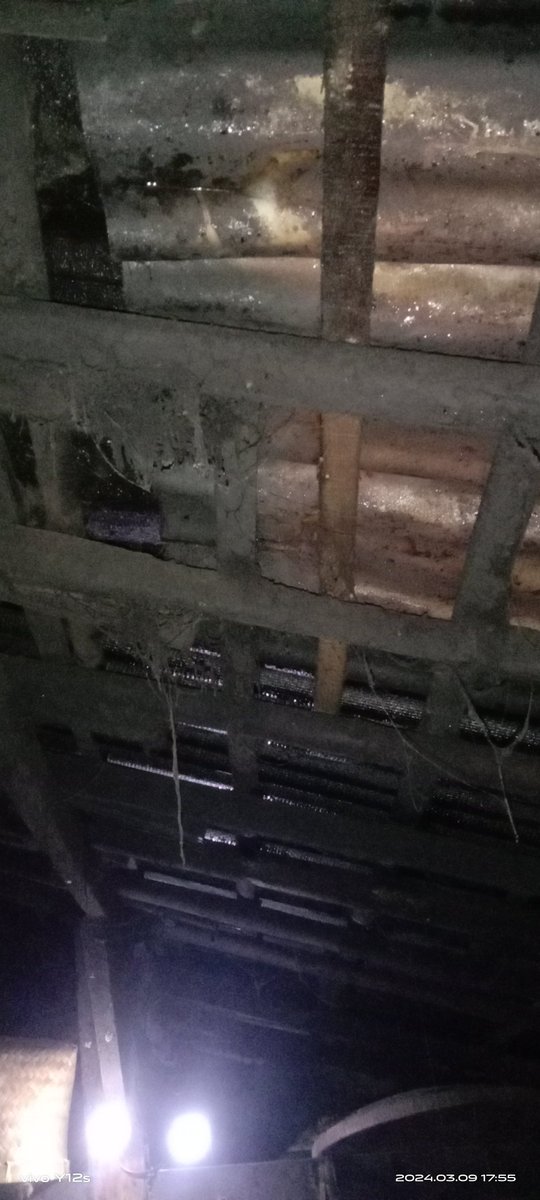 Kali Aja ada yg Mau Bantu2 Buat Benerin Rumah yg Bocor 🙏🏻