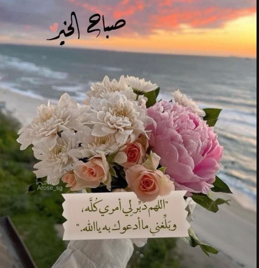 يأتي مع الصباح كل شيء أنيق كالشمس، والعصافير، وأصحاب الرسائل اللطيفة 
والكثير من السعة والرحابَة.. 
صباحُ الخير لأصحابِ الصباح☀️📮🐝.❀

.
.
.
.
.
❥