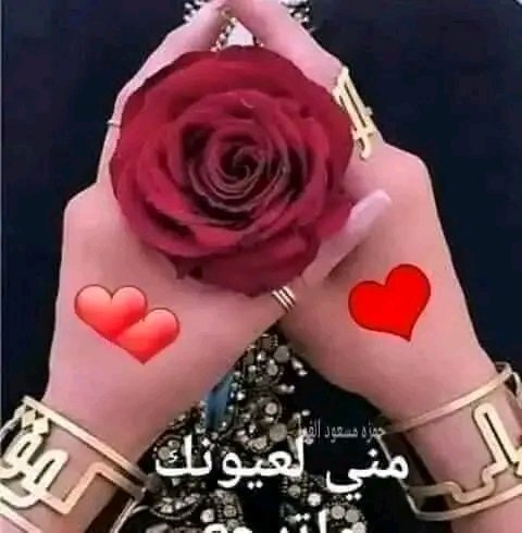 Qween95366639's tweet photo. @Foufou579 صباح الورد والياسمين https://t.co/w1R8AknEQa