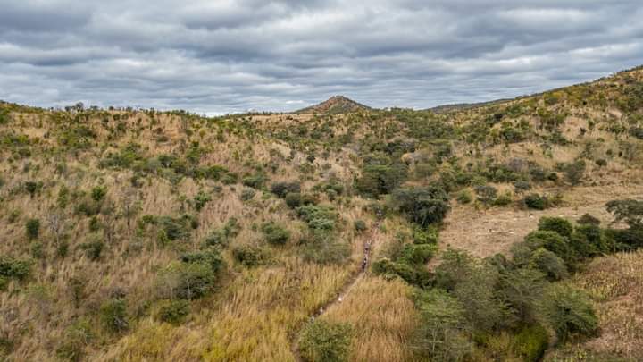 Lembani Travels tweet media