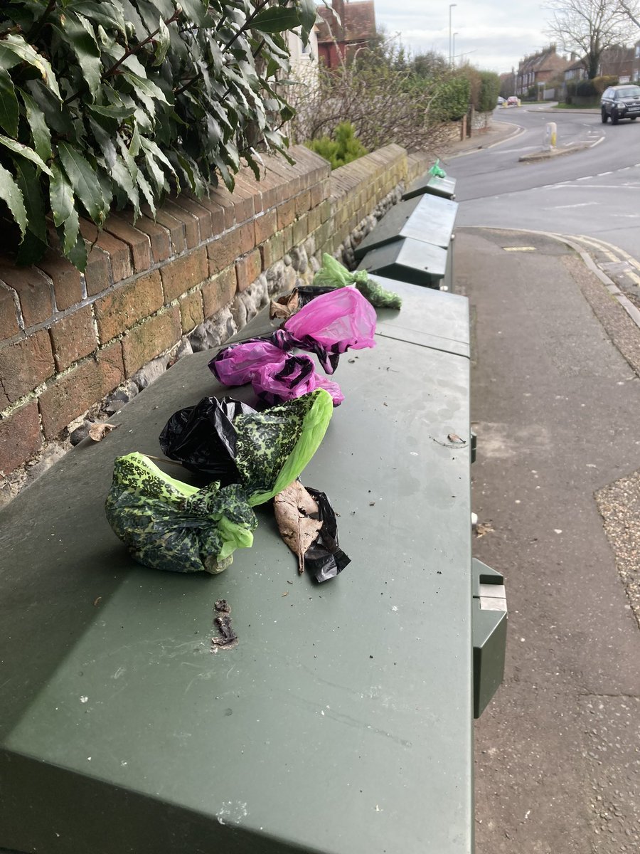 1950sLibrarian's tweet photo. @SteveRoutledge8 From yesterdays #TrashWalk . Taken from behind the comms boxes..I put them in the top and leave them there…to shame them…they chuck fewer behind them..but if I miss a few weeks, they sneak them back there!! https://t.co/PmOwdHyonK