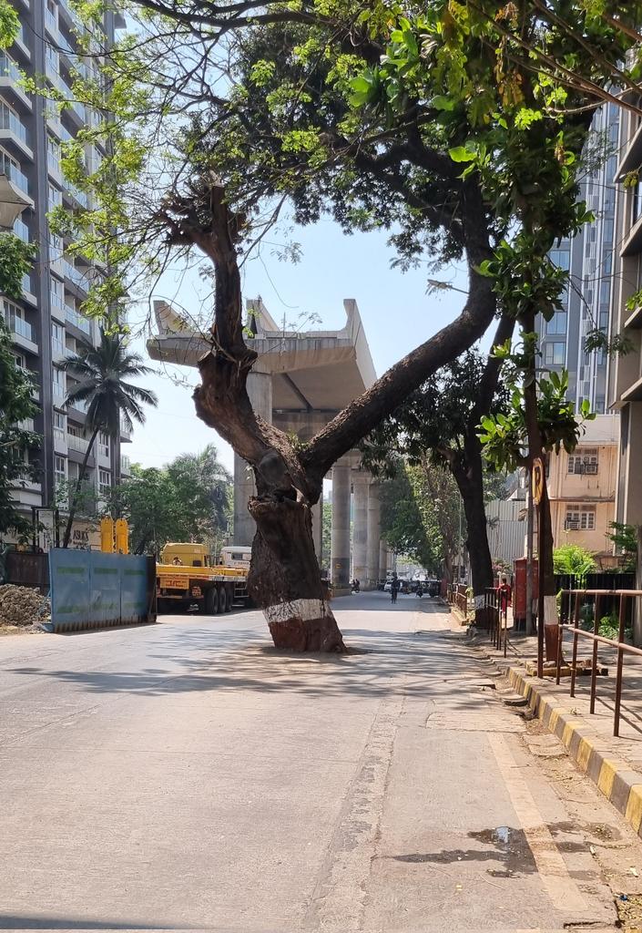 MrinalNABARD's tweet photo. Can development and nature coexist? https://t.co/k07clz7mV8