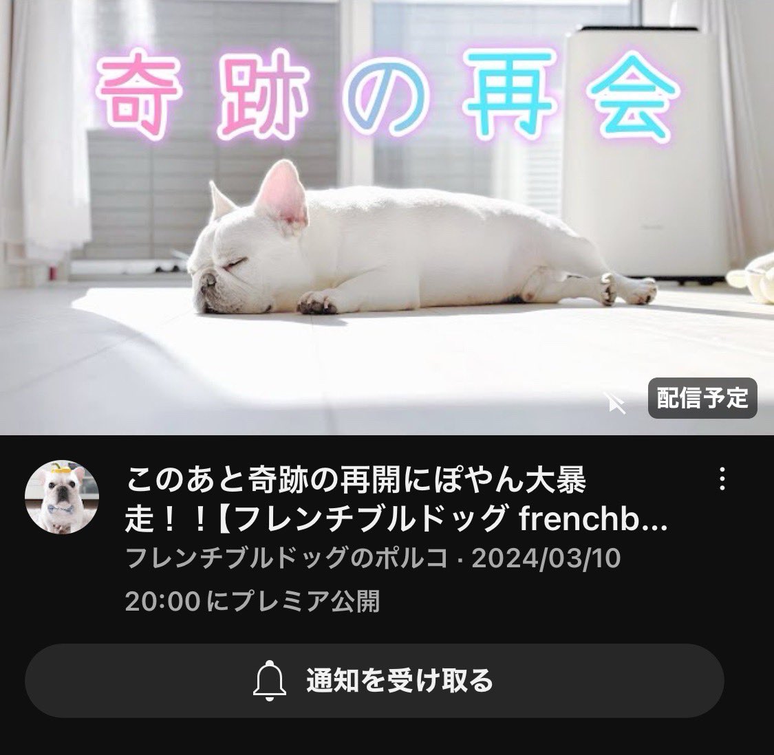 本日20時よりYouTubeプレミア配信します🥰 youtu.be/XLLTg9OFkto?fe…