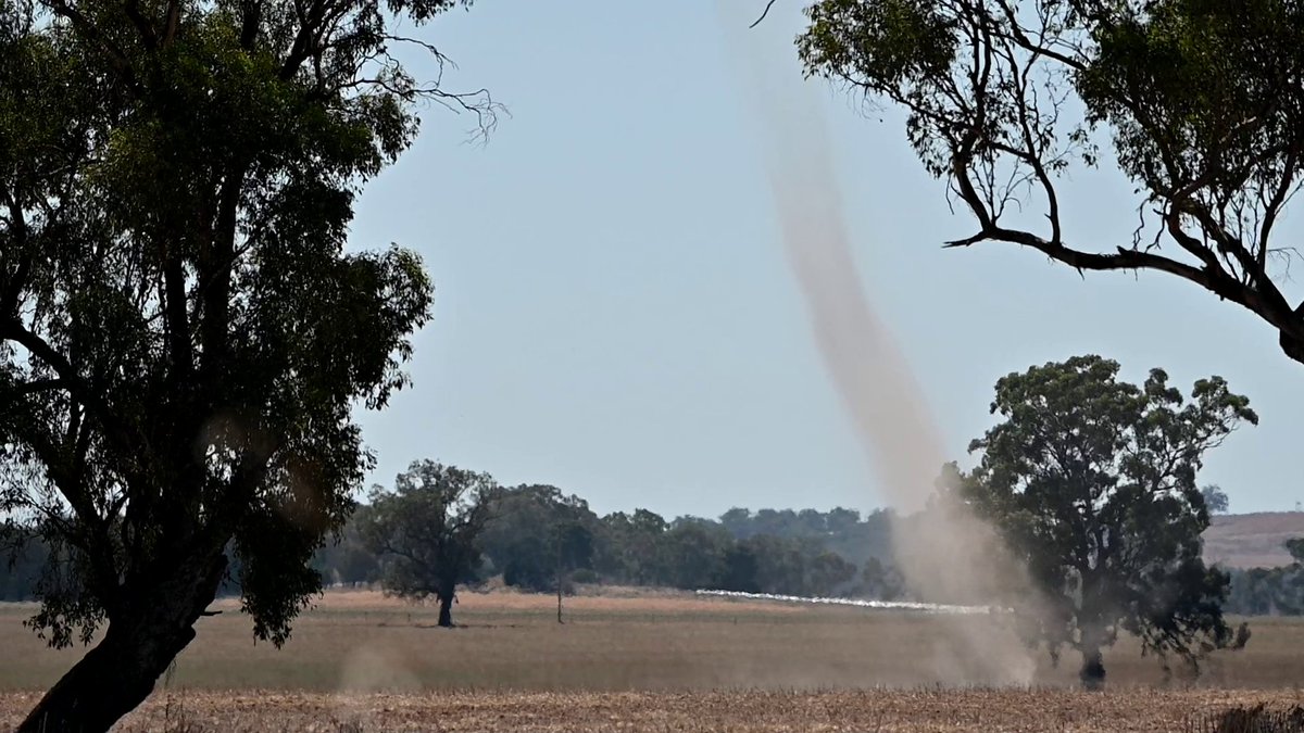 Tempest08246085's tweet photo. Went #dustdevil spotting near Howlong, NSW today. Most of them were small, lasting less than a minute or so. There were a few larger ones but sadly they remained out in the fields away from the road I was viewing from. A fun afternoon nonetheless! https://t.co/HCfCJwB1CW