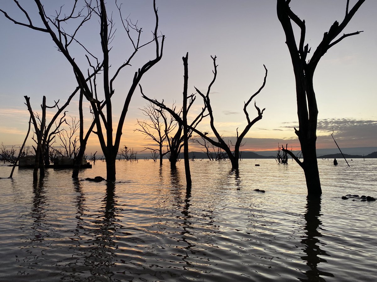 Pierre Taillardat tweet media