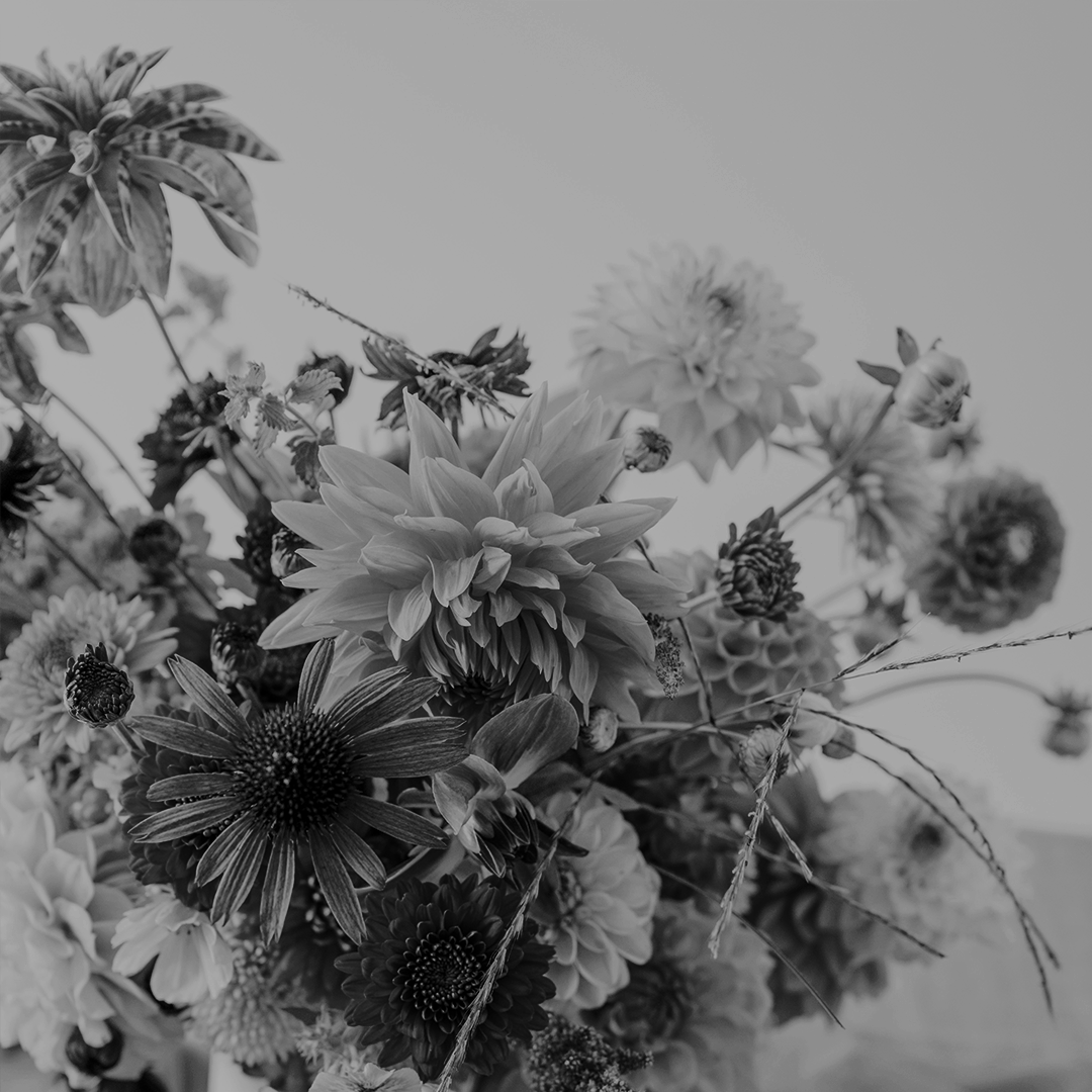 Luna Salma Damaris. (@falteavecamour) on Twitter photo 