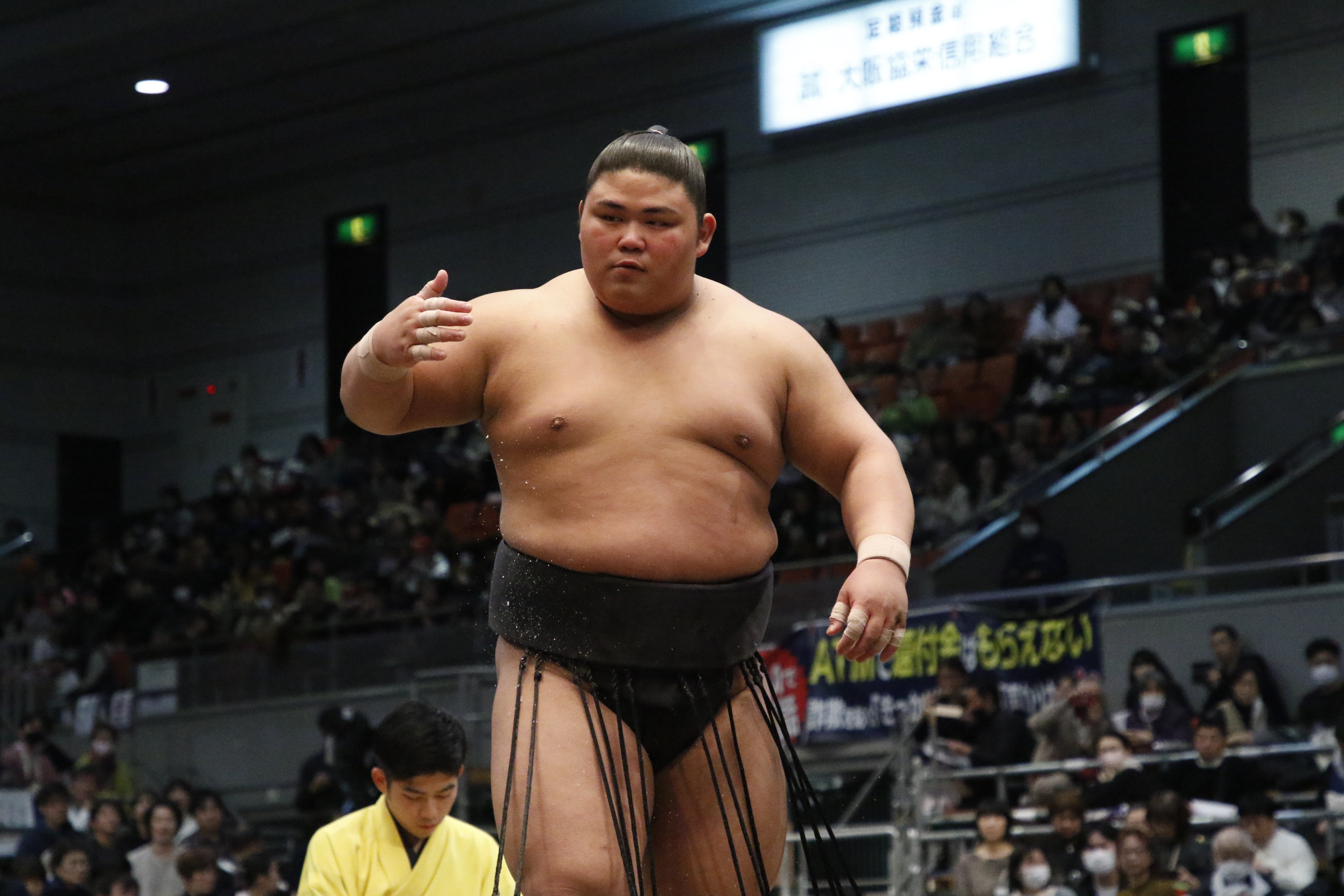 送料無料】プリント色紙 大相撲 立てかける 貴花田 若花田 2枚 送料無料】プリント色紙 大相撲 立てかける 貴花田 若花田 2枚