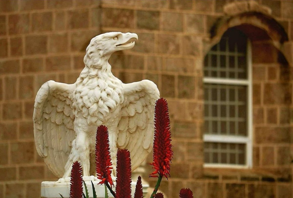 Eagle stands gallantly in front of the #Shrine of Baha'u'llah in #Akka #Israel. #Bahai #BahaiFaith