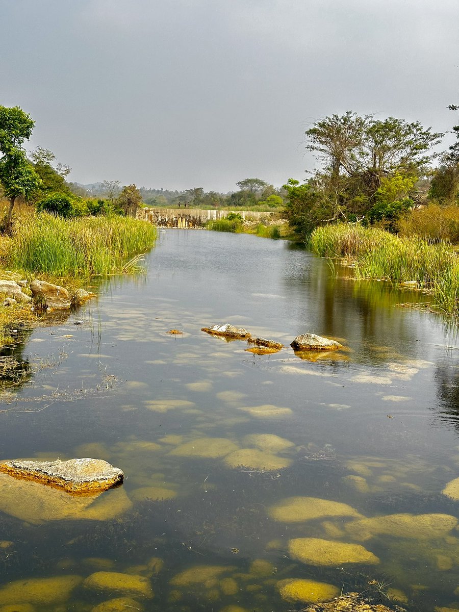 vrundavs's tweet photo. #sundaydrive #packedbreakfast
Through the forests,at the edge of Palar river
Always make sure to park near a cluster of homes, better to be safe than sorry
One side is Mohammed pura other side is ganeshapura..
But they live happily..& I like that spot
#amidstnature #shinrinyoku https://t.co/0wDLvzAfDy
