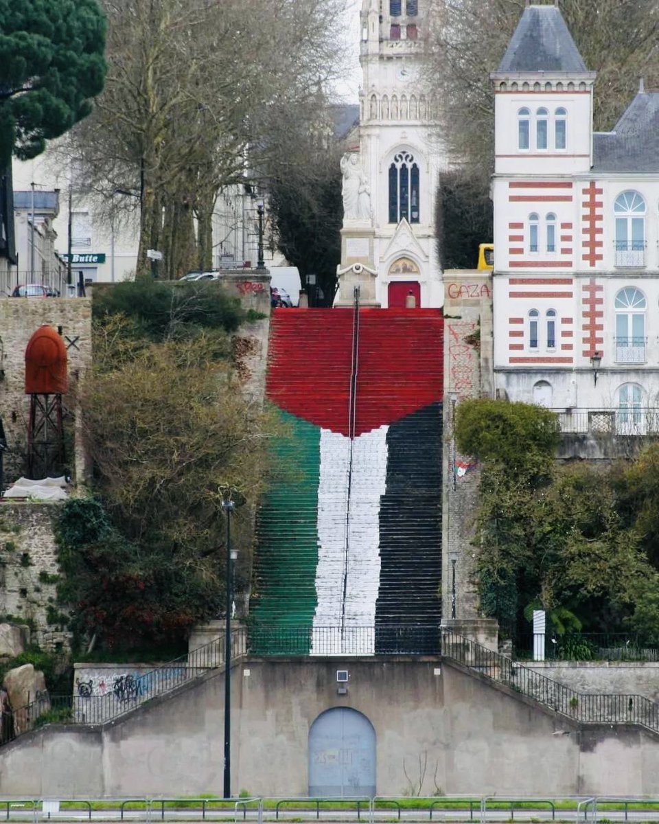 #Nantes avec la #Palestine

#FreePalesitne 
#CEASEFIRE_NOW 
#EndGenocide