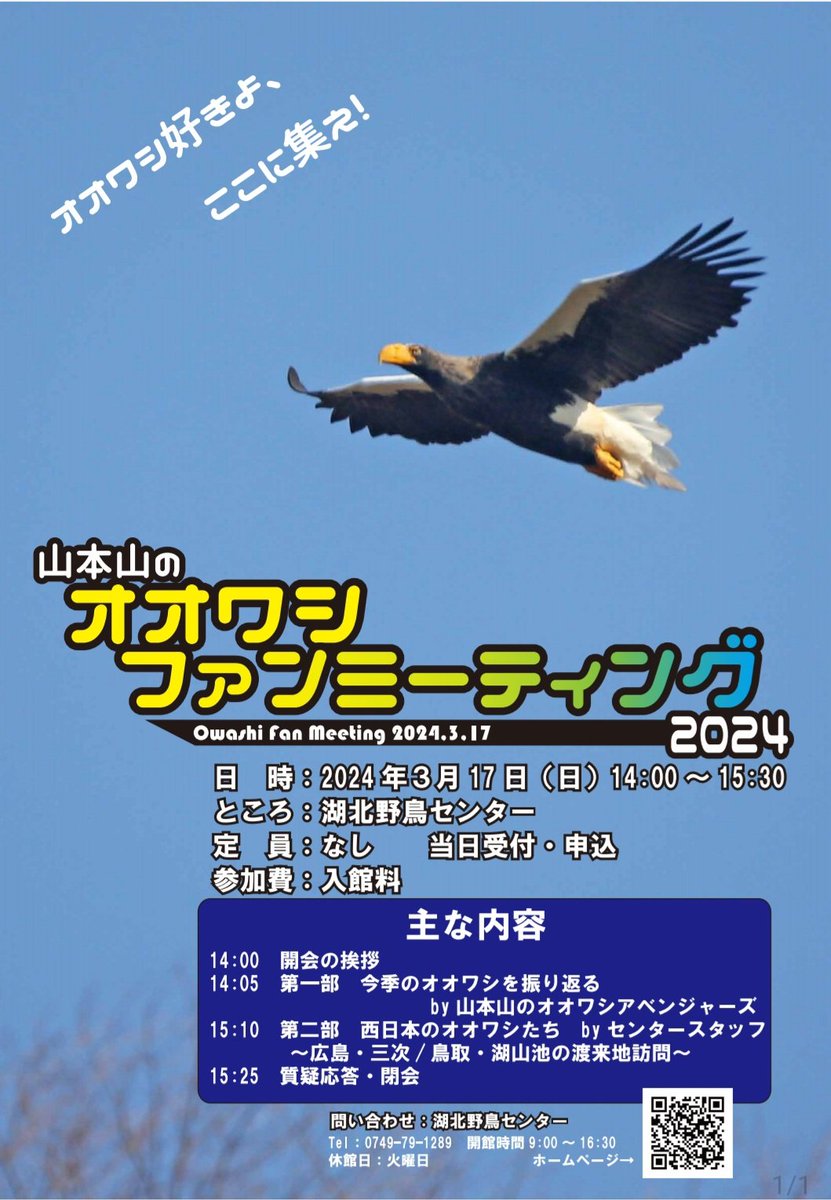 kohokuWBC's tweet photo. 【緊急告知！】3月17日(日)14時より
今シーズンの山本山のオオワシを振り返る！ということでオオワシ  ファンミーティング(略してOFM)を行います！
麓で見ておられる強者達｢山本山オオワシアベンジャーズ｣をお招きし、写真を見せていただきながら熱く語っていただきます！(続く) #山本山のオオワシ https://t.co/oS0r1dsCfj