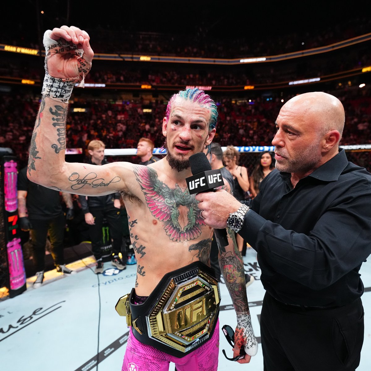 ufc's tweet photo. The Suga Show is here to stay 🍬

Last night @SugaSeanMMA defended the bantamweight title at #UFC299 https://t.co/t5RK2tPBE6