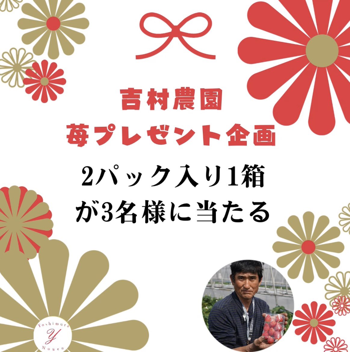 yoshimuranouen's tweet photo. 🍓吉村農園プレゼント企画🍓

吉村農園のいちご2パック1箱を3名様にプレゼント🎁
いちごの旬な時期に是非ご賞味下さいね😁♩

応募方法はアカウントのフォロー&amp;RTのみ！
@yoshimuranouen

期間は3月10日（日）〜3月17日（日）の18時まで
ご応募お待ちしております🍓
#プレゼント
#プレゼント企画 https://t.co/U6QVuGToPf