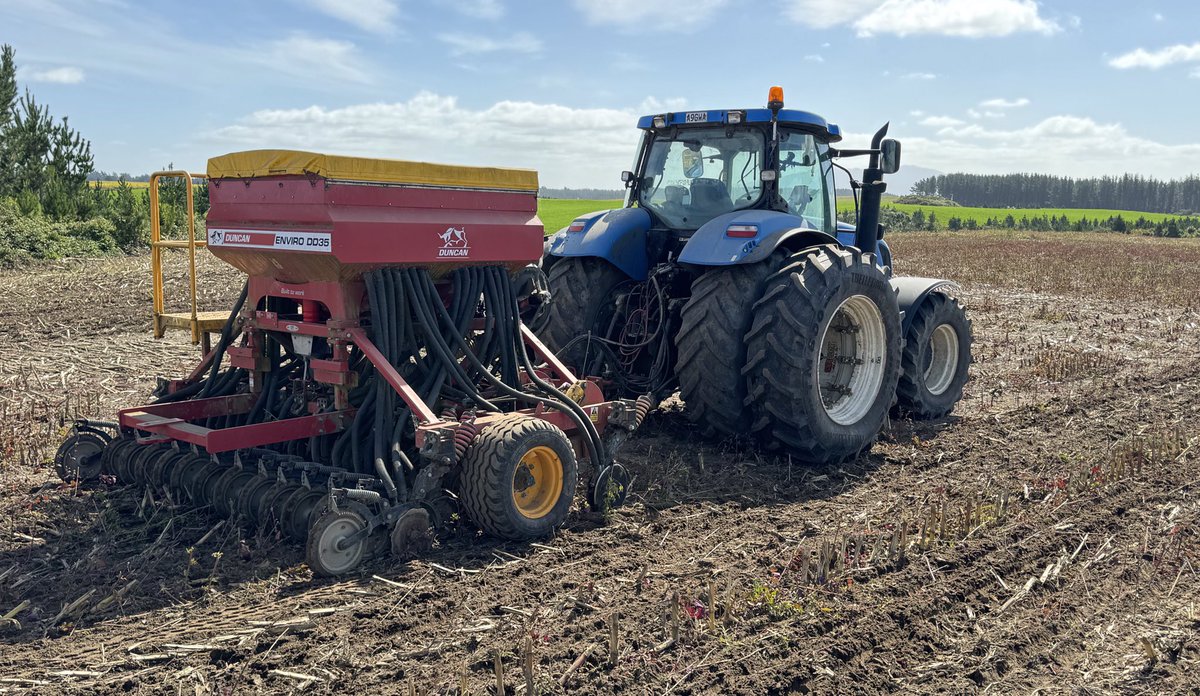 Finally got onto grass seed drill today, did calibration and sowed small paddock in our lifestyle subdivision where neighbours can’t see stuff ups. Result - all good so headed to maize stubble, 130ha to go..! 🥵