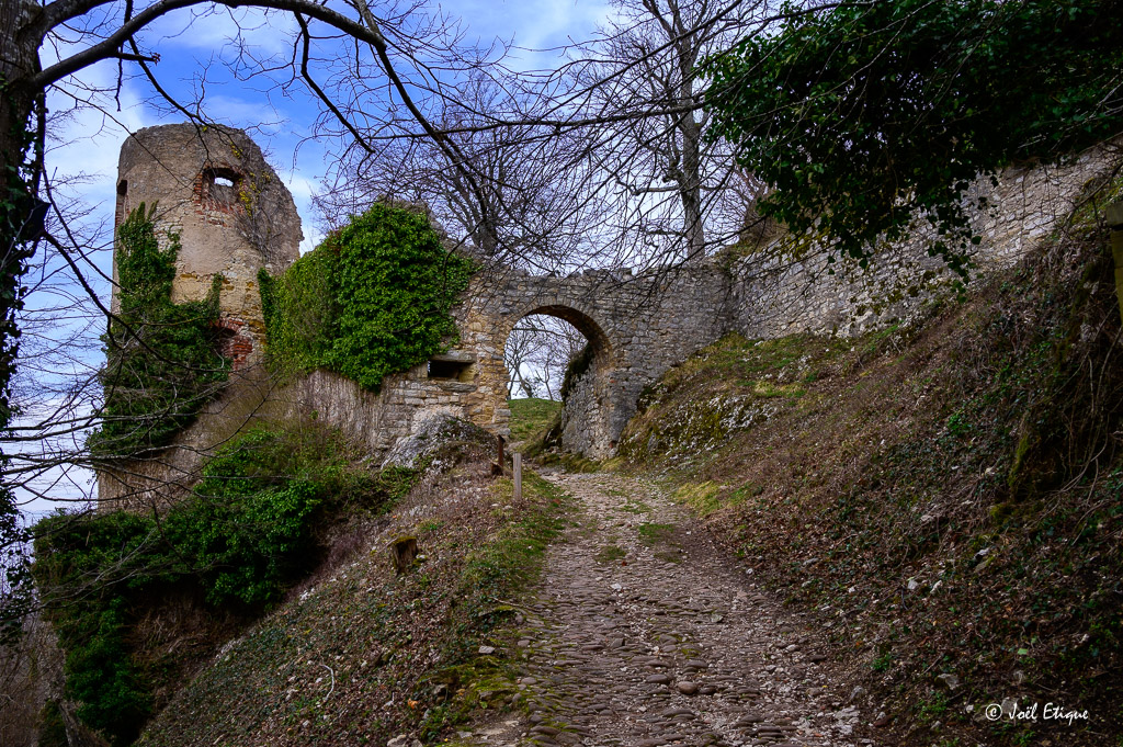 joeletique's tweet photo. Château de Ferrette #ferrette #alsace #ruine #chateau https://t.co/wnkxpjaicp