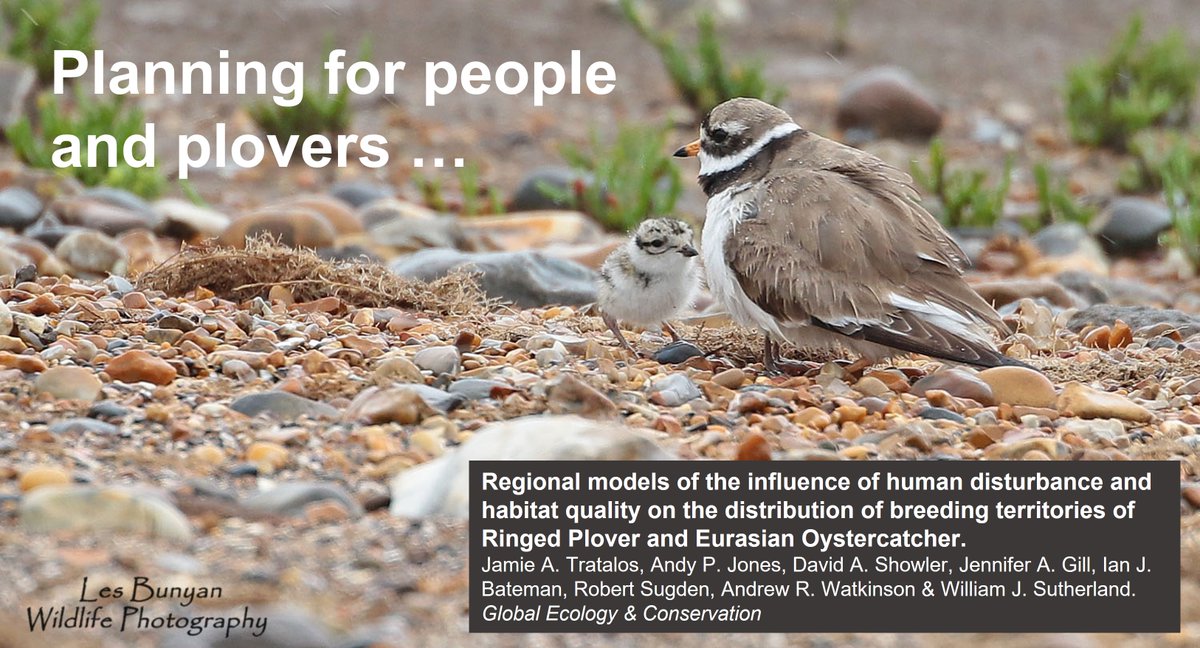 Graham Appleton tweet media