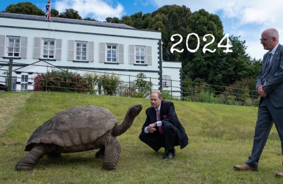 This is Jonathan the tortoise, the world’s oldest known living land animal. He hatched in 1832 and is currently 191 years old. Imagine the stories he could tell.