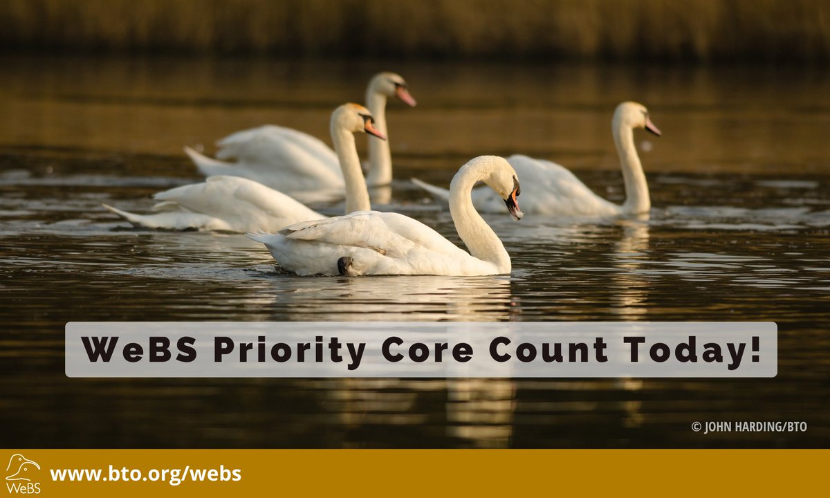 Today is the March Priority Core Count date! Let's get out and count our waterbirds!
