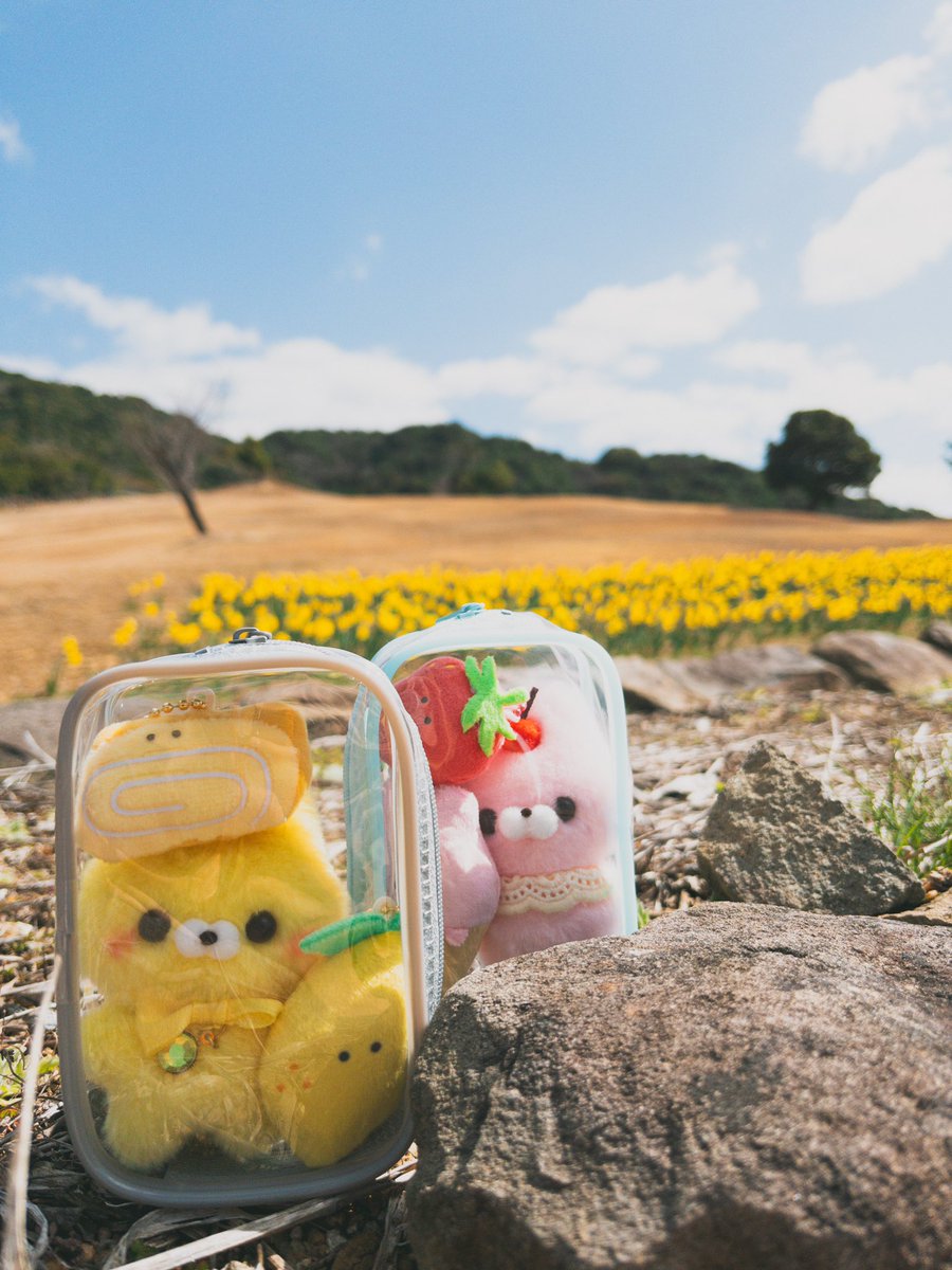 wasa_ram's tweet photo. れべっかさんのお誕生日ってことで淡路島のイングランドの丘に遊びに行ったよ
計画立ててバレないように旅のしおり作って当日に至ったけど喜んでもらえてよかったよ
来年はもっと楽しんでもらえるようにがんばります🍓🍕 https://t.co/dL3MLOpgvm