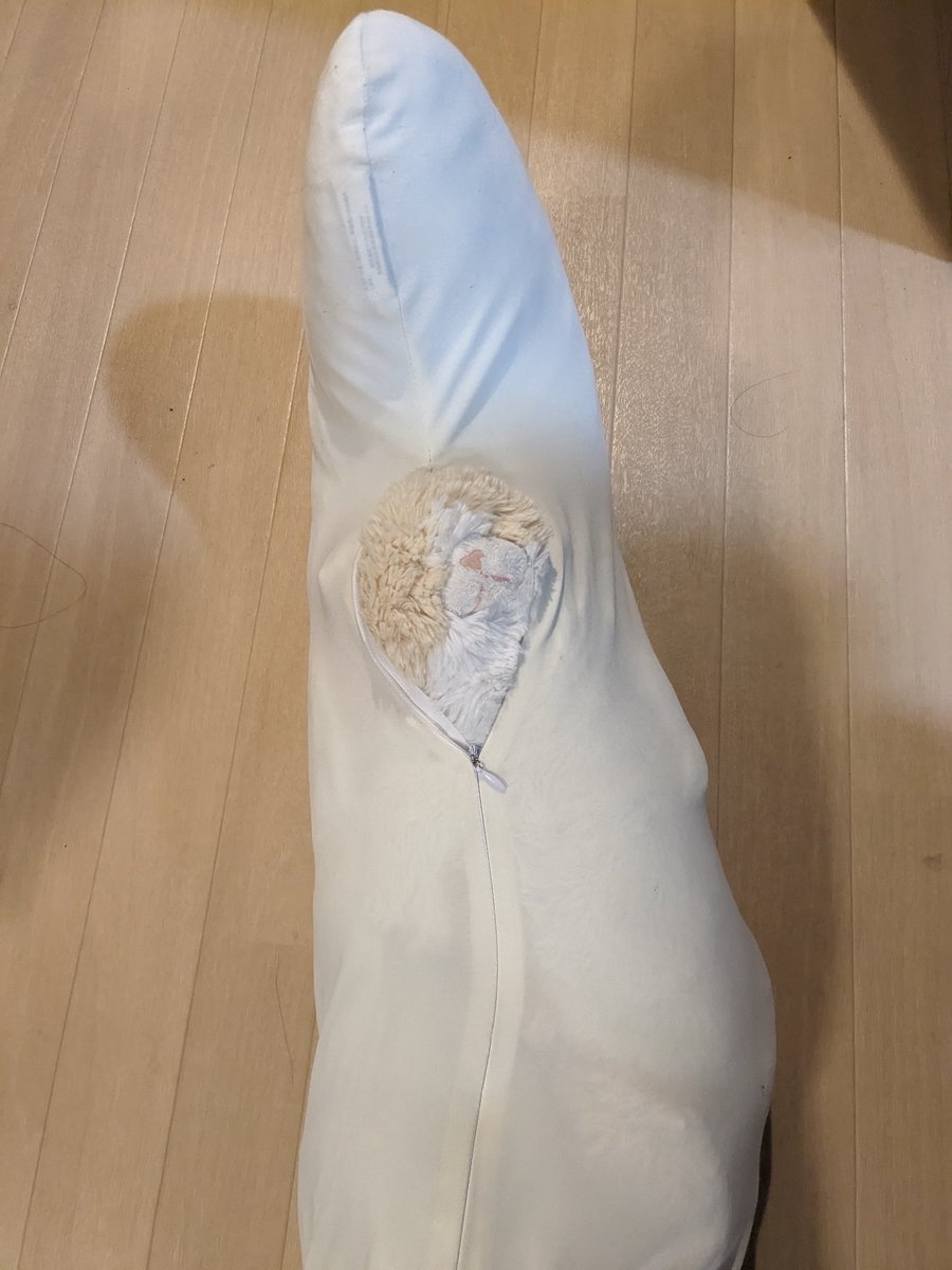 chijika's tweet photo. 次女が猫のぬいぐるみとひんやり抱き枕でバナナ猫作りました。 https://t.co/12OVAODv0w