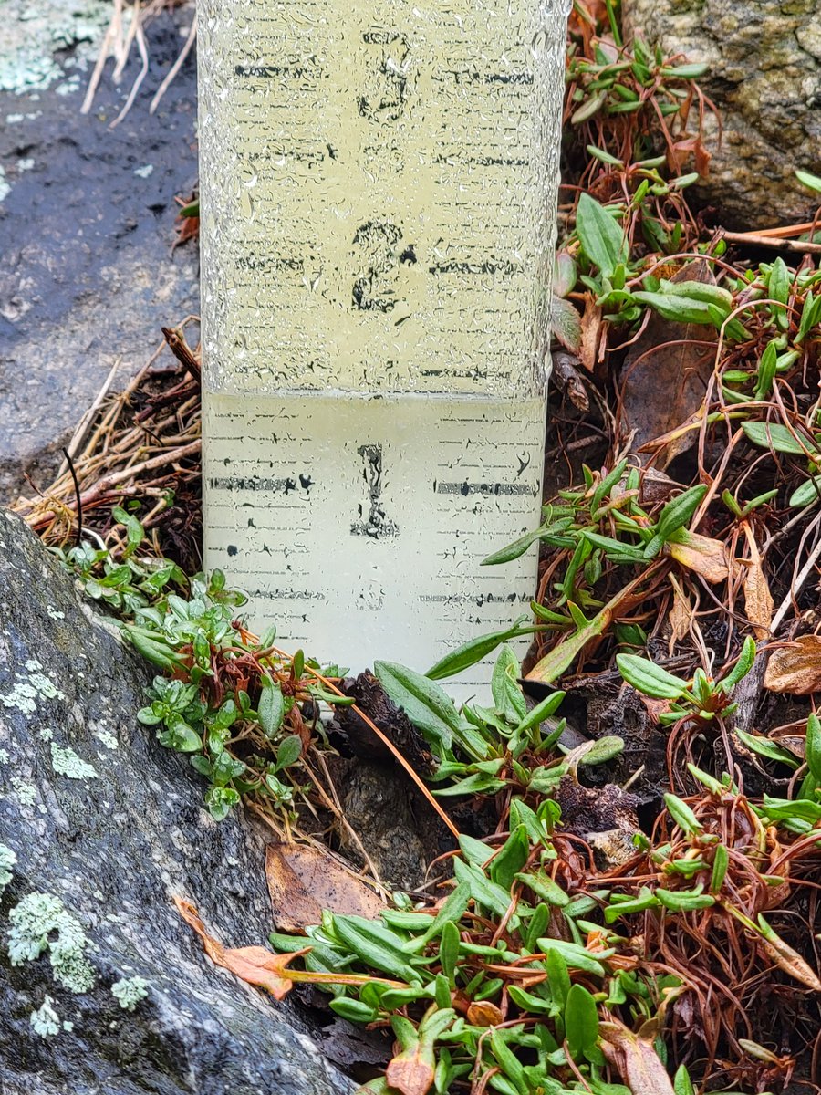 markthefoamguy's tweet photo. @WX1BOX @KevinBoston25 @jreineron7 @ericfisher  1.4" storm total in Dudley, MA 5.9" month-to-date - very wet start to March! https://t.co/eReOz0vQUW
